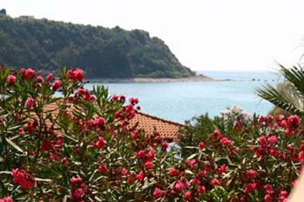 Baia Tropea Resort Parghelia Exterior photo